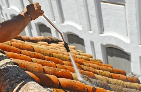 Démoussage de toiture à Nieul lès Saintes